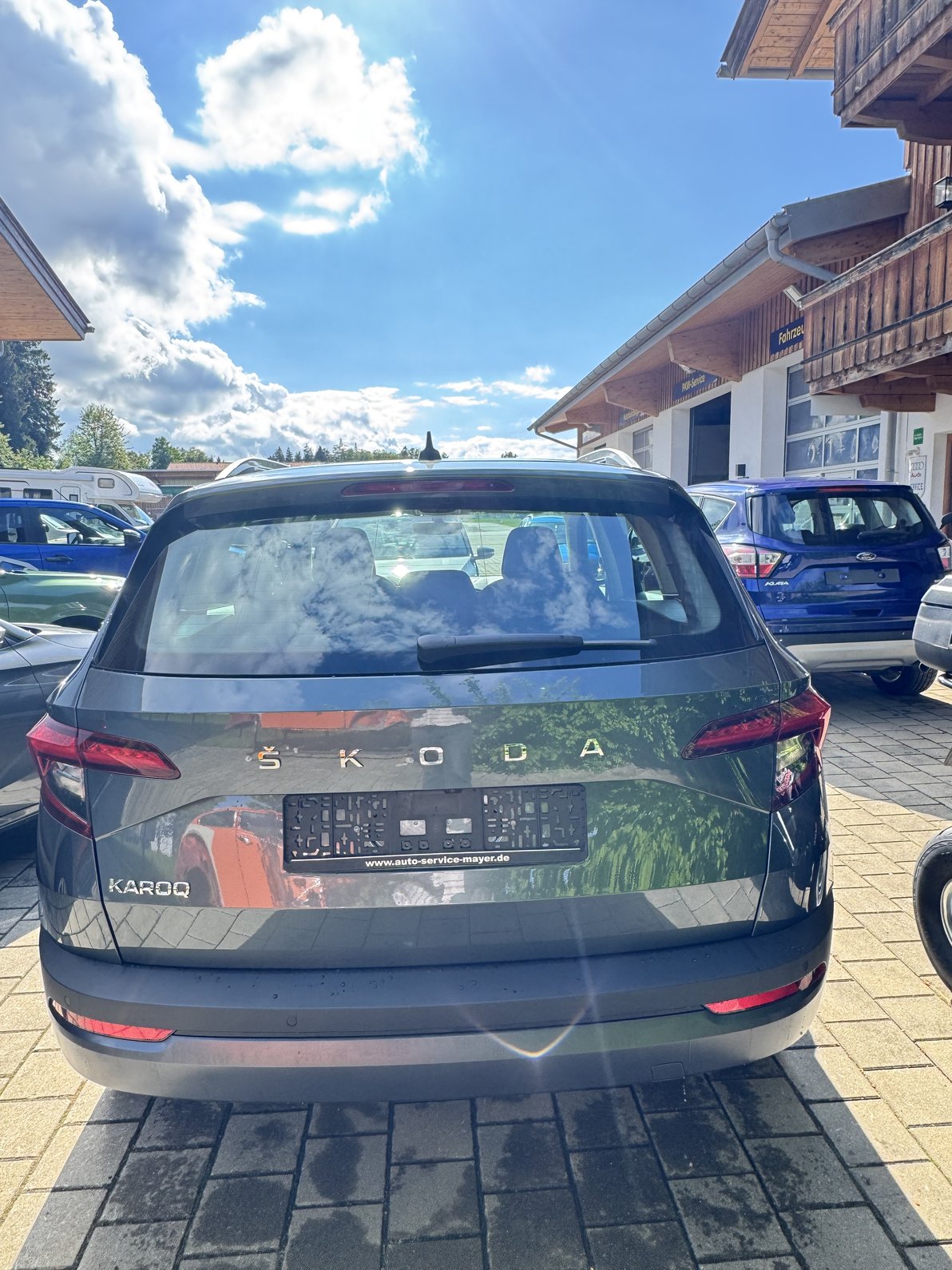 "Bild skoda_lew_3.jpeg"
