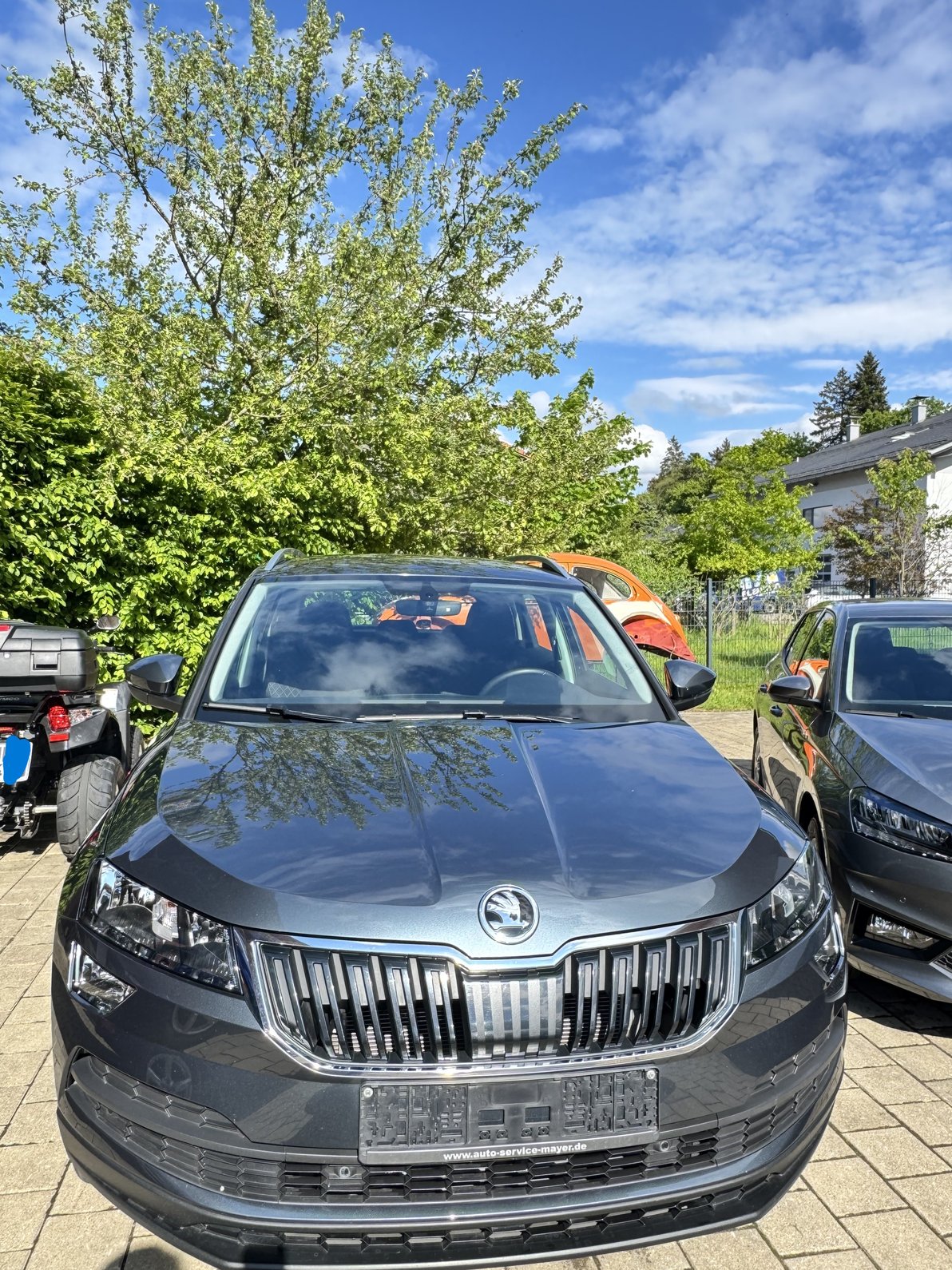 "Bild skoda_lew_4.jpeg"